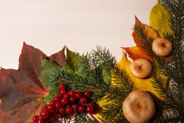 sonbahar yaprakları, çilek ve hafif bir arka plan üzerinde mantar