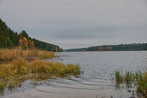 Pemandangan musim gugur di latar belakang kolam — Stok Foto
