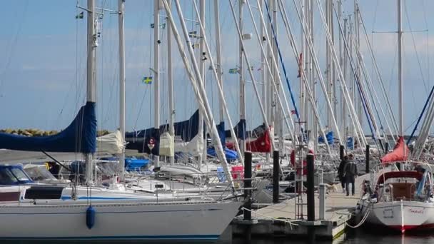 Barche a vela in Ystad marina, Svezia — Video Stock