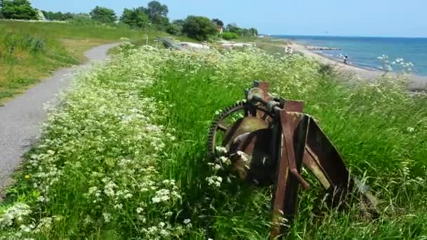 在瑞典伊斯塔德波罗的海海岸线上的自然绞车 — 图库视频影像