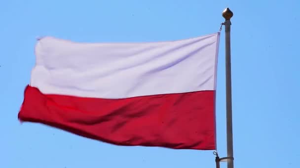 Vento in una bandiera polacca — Video Stock