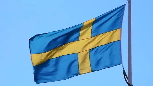 Wind in a Swedish flag — Stock Video