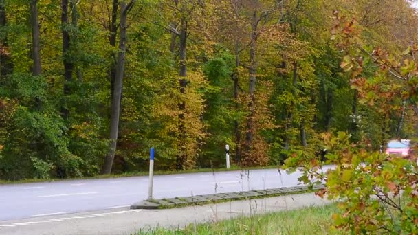 Traffico in autunno foresta colorata — Video Stock