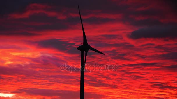Power vindkraftverk i solnedgång — Stockvideo