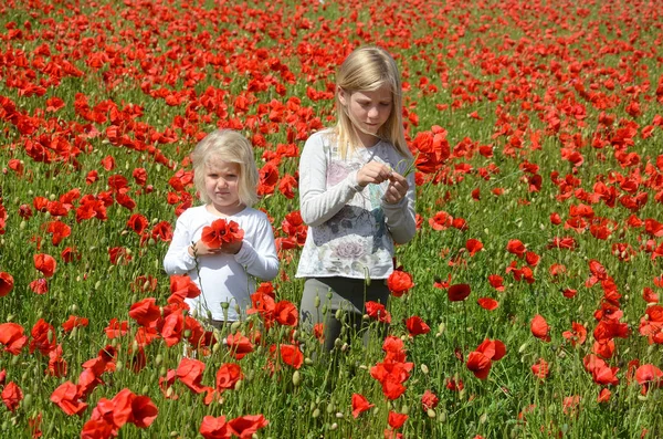 Duas meninas, 9 e 4 anos, em um campo com flores de papoula , — Fotografia de Stock