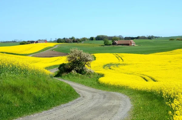 Paisagem em Scania, Suecia — Fotografia de Stock