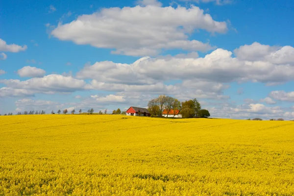 Campo Estupro Com Nuvens Sobre Uma Fazenda Ruuthsbo Scania Suécia — Fotografia de Stock