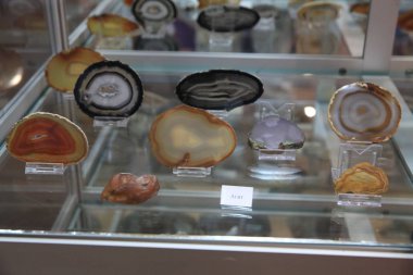 Exhibits of the Geological Museum of Precious and Decorative Stones, Khoroshiv, Zhytomyr Region, Ukraine. clipart