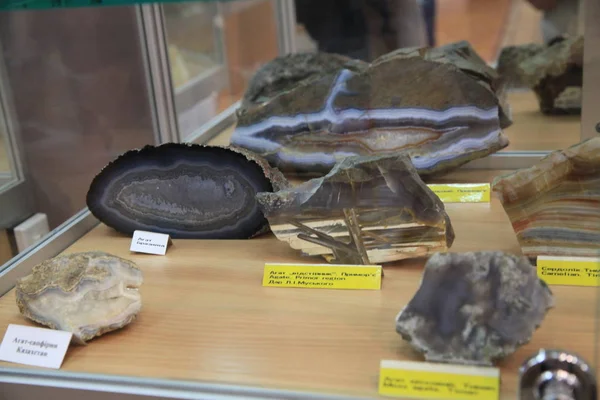 Kiállításai Geológiai Múzeum Értékes Dekoratív Kövek Khoroshiv Zhytomyr Régió Ukrajna — Stock Fotó