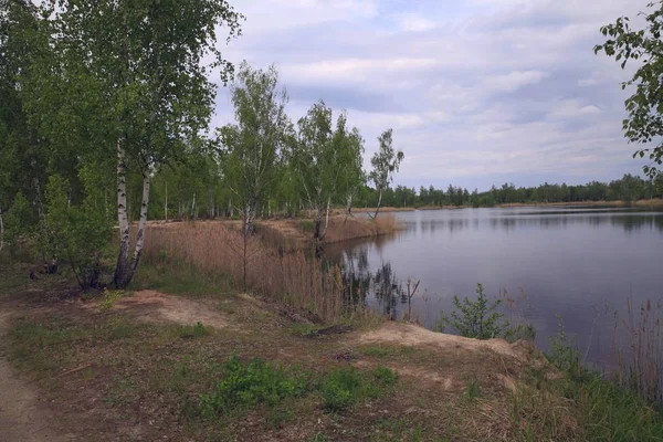 Vidoeiros Torno Pequeno Lago Rural Região Vinnytsia Ucrânia — Fotografia de Stock