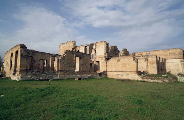 Ruins Palace Prince Trubetskoy Located Village Cossack Kherson Region Right — Stock Photo, Image