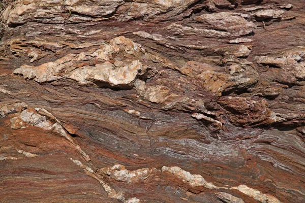 Taches Isolées Paysages Déserts Début Printemps Par Une Journée Nuageuse — Photo