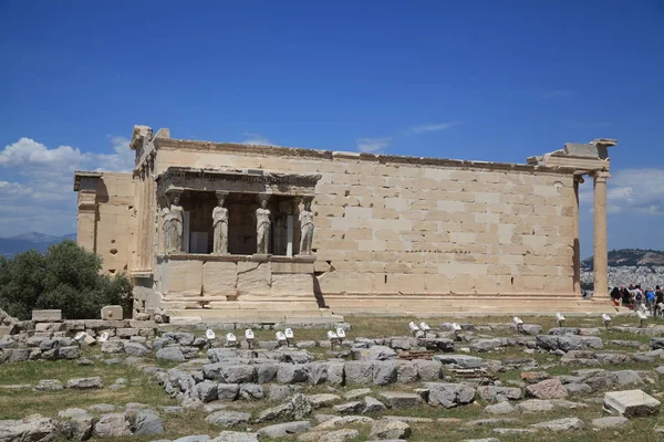 Athéni Akropolisz Egy Templomkomplexum Ahol Imádkoztak Görög Istenekhez Áldozatokat Ajánlottak — Stock Fotó