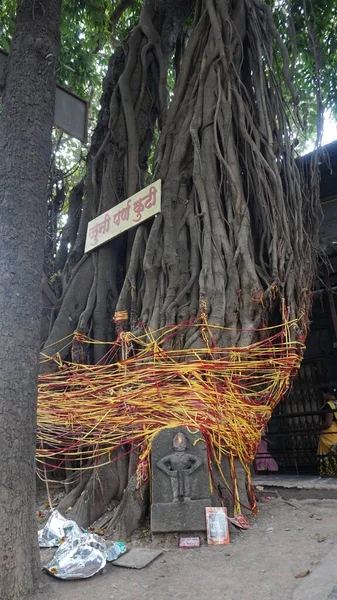 Árvore Sagrada Entrada Caverna Que Esposa Rama Sita Foi Cercada — Fotografia de Stock