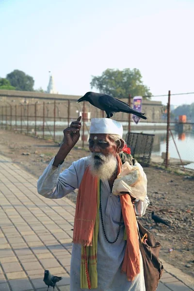 Homem Idoso Monge Alimentando Corvo Território Complexo Templo Hindu Veereshwar — Fotografia de Stock