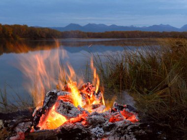 Akşam göle ateşin ortasına. Böcekler ve yırtıcı hayvan için ilaç. Vahşi doğada hayatta kalma.
