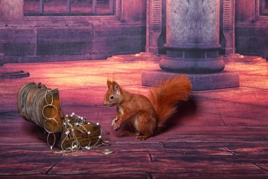 Şirin Kırmızı Sincap.