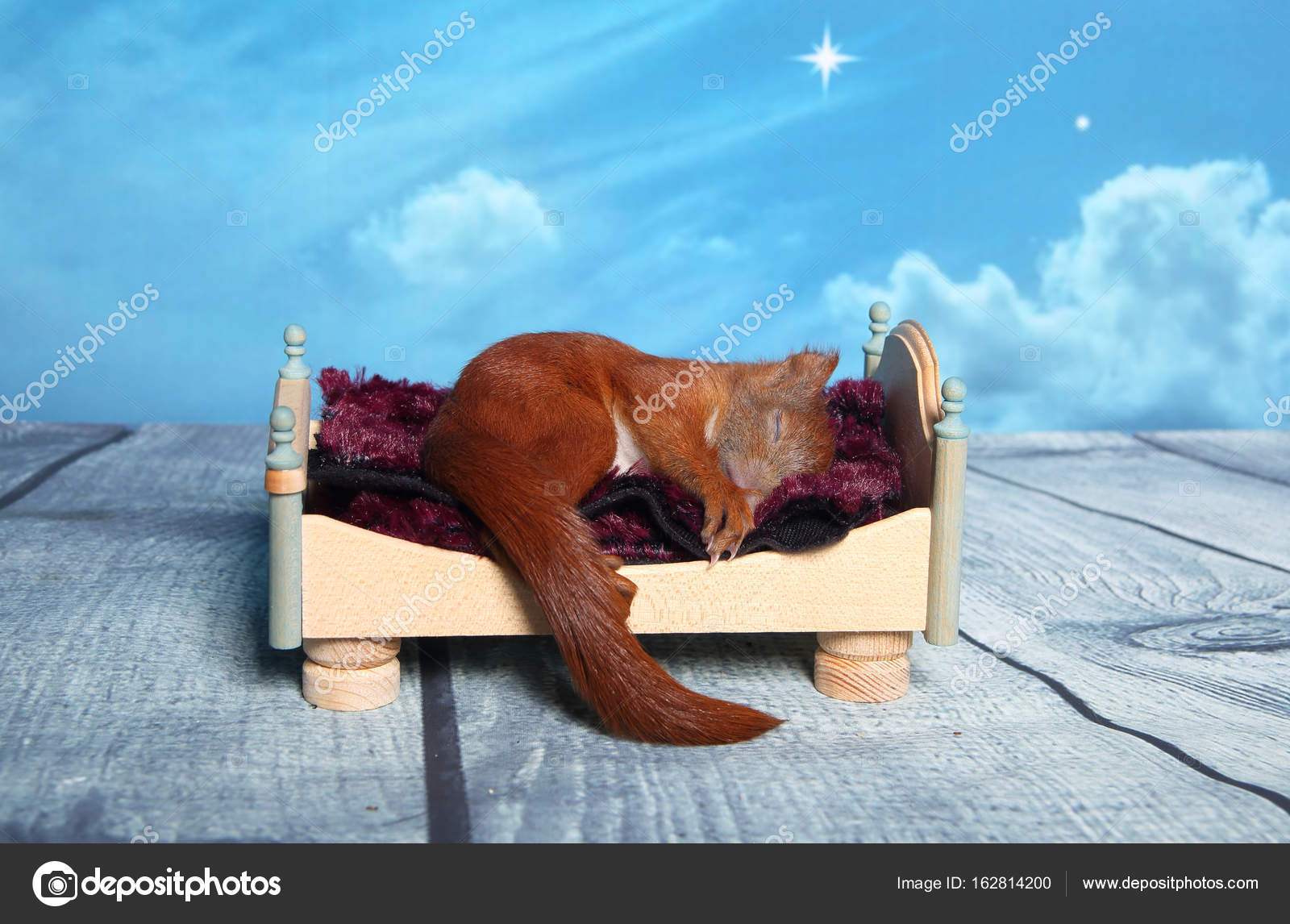 depositphotos_162814200-stock-photo-squirrel-sleeping-in-a-bed.jpg