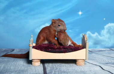 Sincap bir yatakta uyumak