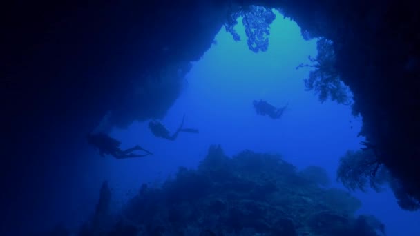 Grupo de mergulhadores entrando enorme debaixo da caverna da água, Palau — Vídeo de Stock