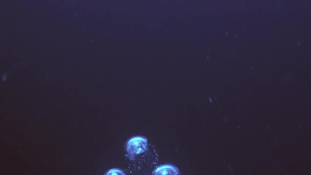 Luftbubblor som stiger under vatten, Palau — Stockvideo