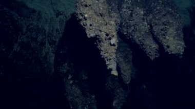 İç su mağara, Palau altında karanlık