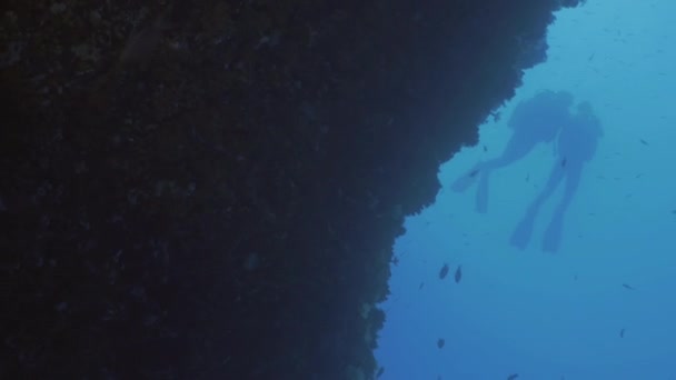 Dos buceadores en la pared del arrecife en el mar Mediterráneo — Vídeo de stock