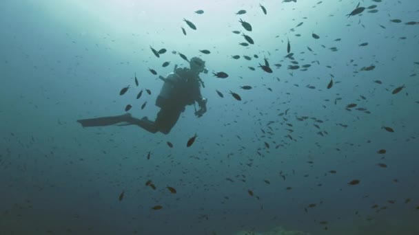 Silhouet van scuba duiker in open water — Stockvideo