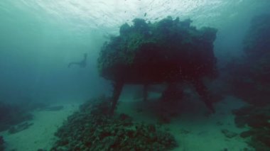 Ali Rumi, Sudan Cousteau evinde