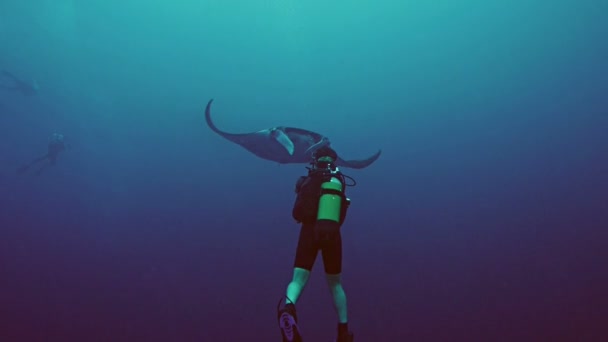 Encuentro cercano con Manta ray, Mar Rojo — Vídeos de Stock