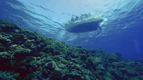 Gumový člun jezdí viděl pod vodou perspektivy, Rudé moře — Stock video