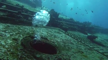 Airbubbles batık batık, Kızıldeniz, Sudan