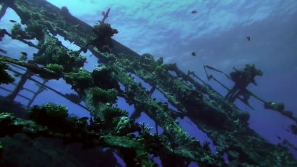 Pan shot over sunken shipwreck, Red Sea, UMBRIA — Stock Video