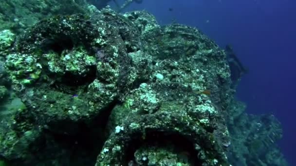 沈没した難破船、紅海、ウンブリアの上に移動します。 — ストック動画