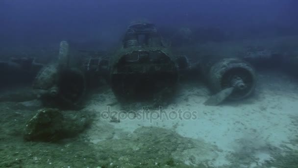 Podwodne zdjęcia wraku samolotu, Boeing B17, Flying Fortress, Corsica — Wideo stockowe