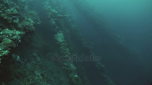 Scuba diver at sunken ship wreck, Red Sea, UMBRIA — Stock Video