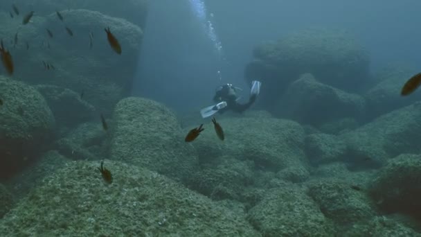 Дайвер в великолепной скалистой среде подводного рифа — стоковое видео