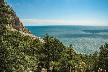 Parlak mavi deniz ve kayalar ve güneşli bir ormanda Kırım