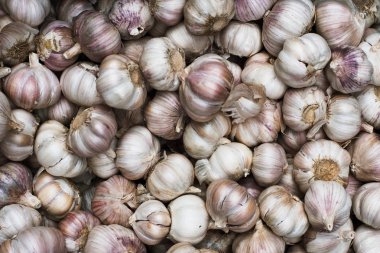 Alan arka plan için dan Satılık çiftçi pazarda birçok taze sarımsak yığını. Yakın çekim