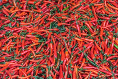 Taze kırmızı biber yığını doku biber. Çiğ gıda arka plan. Yakın çekim. Bangkok, Tayland için geleneksel sebze pazarı.