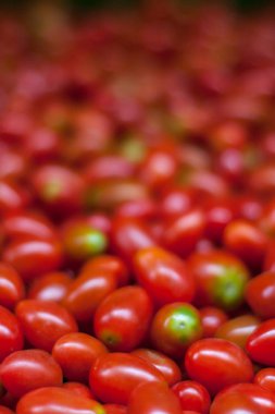 Birçok taze kırmızı kiraz domates. Seçici odak. Lezzetli çiğ sağlıklı gıda arka plan. Bangkok, Tayland için sebze pazarı