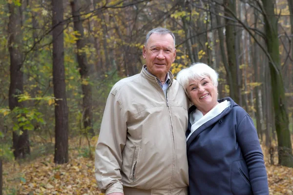 Heureux couple de personnes âgées marchant dans un parc d'automne Images De Stock Libres De Droits