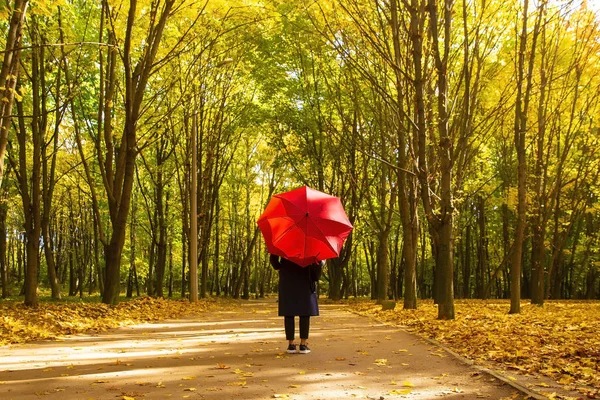 Promenade dans le parc d'automne Image En Vente