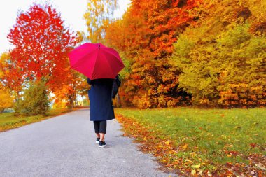 Sonbahar parkında yürüyorum