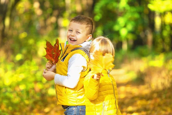 Retrato de dos niños felices un parque de otoño —  Fotos de Stock