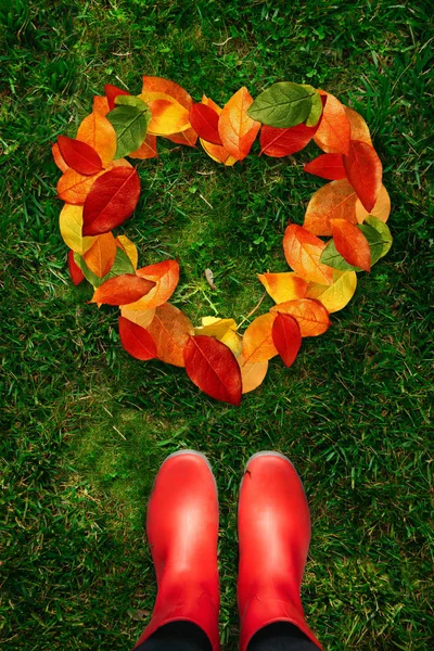 Vista de ángulo alto de la mujer en botas de goma roja mirar hacia abajo en las formas del corazón hojas de otoño en hierba verde — Foto de Stock