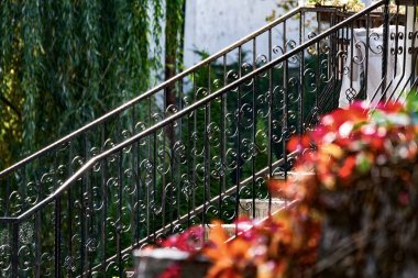 Demir korkuluk, sonbahar renkleri