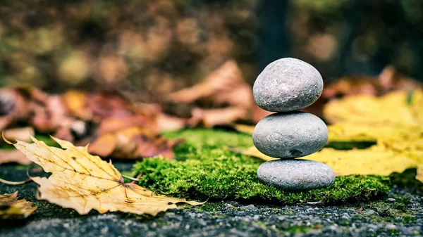 Stones in nature, autumn pictures