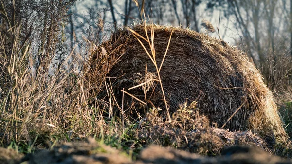 Abandoned, autumn straw bale — Stock Photo, Image