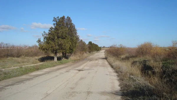 Şehrin Dışındaki Eski Asfalt Yolda Yol Pürüzlü Çatlak Yollar Boyunca — Stok fotoğraf